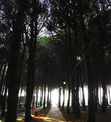 The Beachfront By Pikhost 골렘