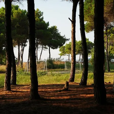 Daire The Beachfront Golem (Tirana)