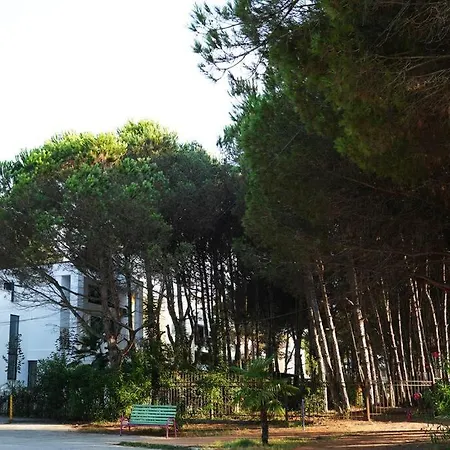 The Beachfront Daire *
