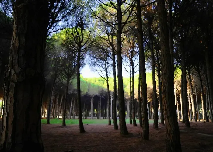 Lejlighed The Beachfront By Pikhost *